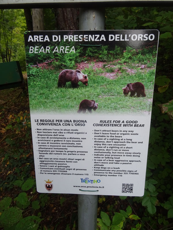 cartelli presenza orso - Ursus arctos